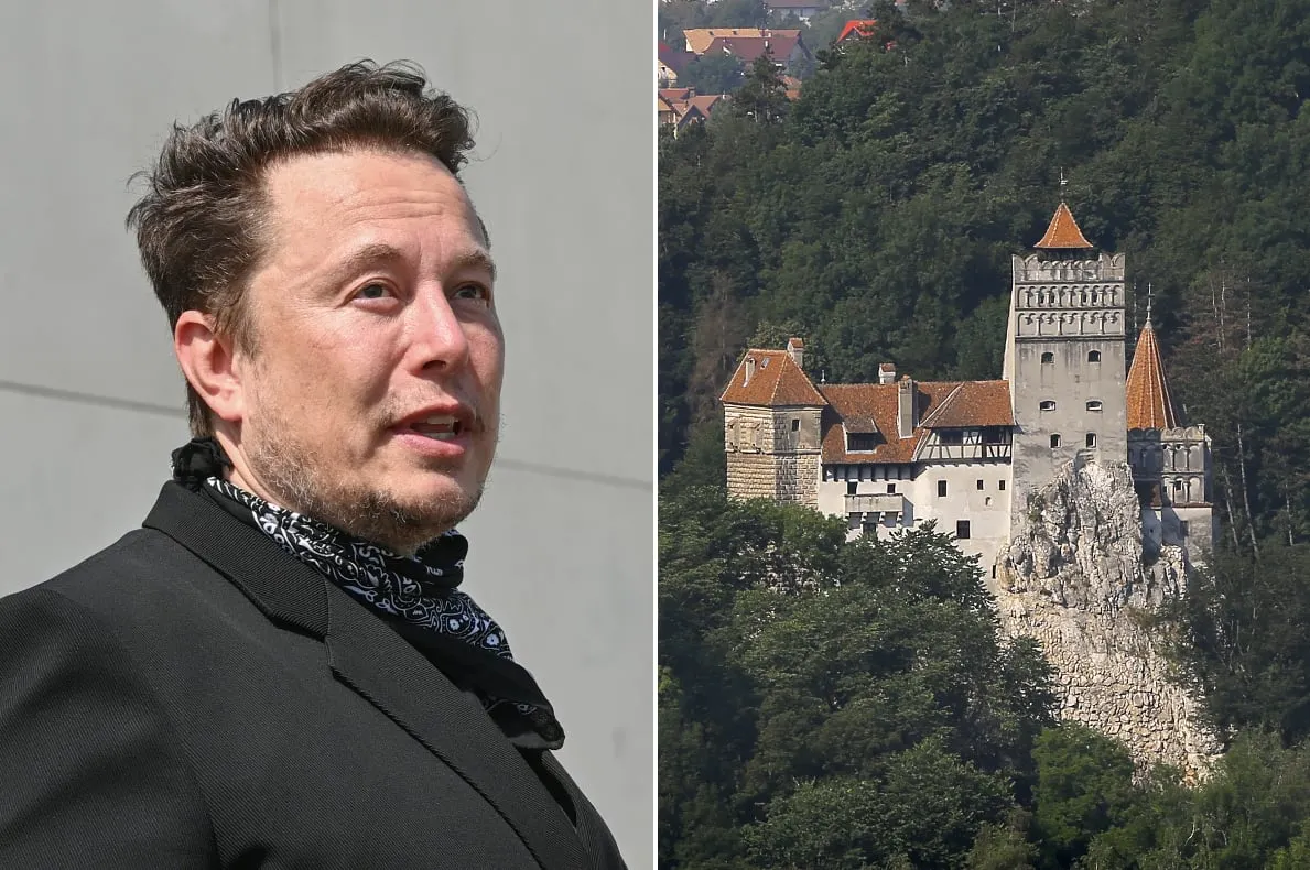 elon musk