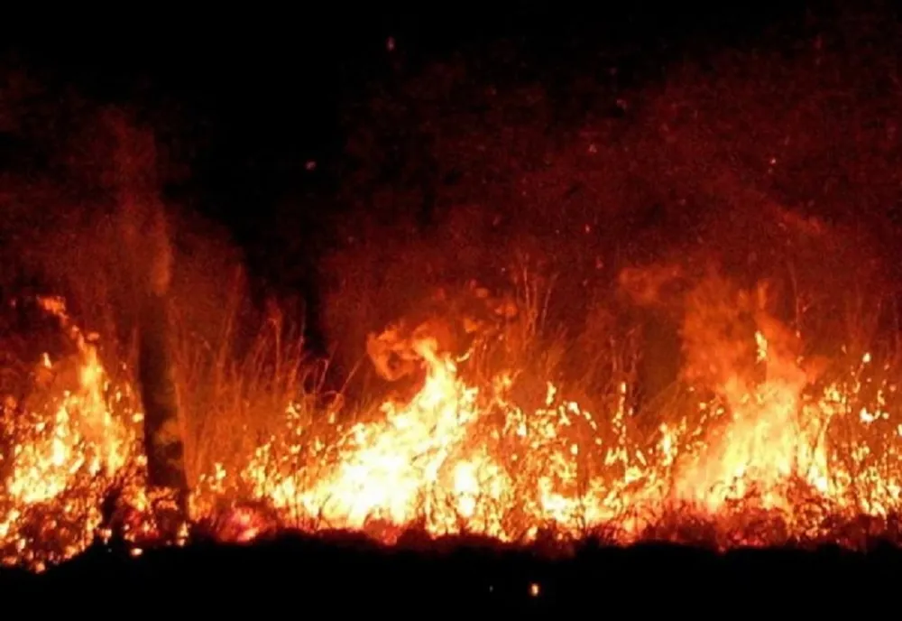 Incendiu de pădure de amploare în Spania
