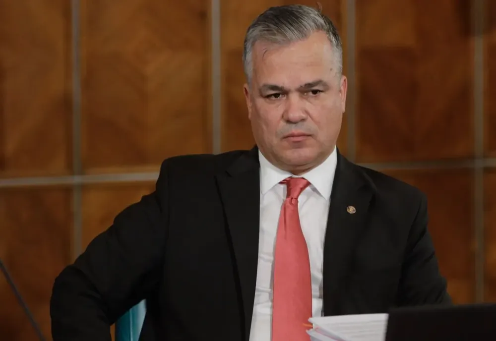 Programul de guvernare al cabinetului Veștea