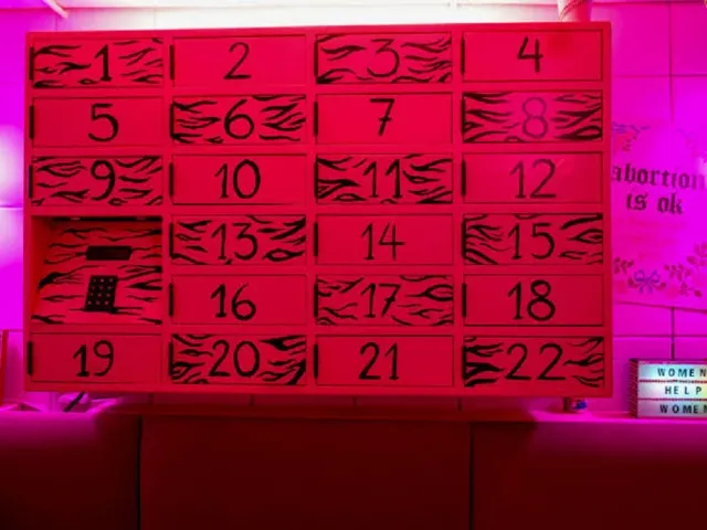 Activiștii polonezi au instalat un „automat” cu pastile pentru avort