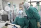 Coronavirus: de ce oamenii iau tot mai multe boli grave de la animale