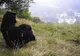 Artista din România care vrea să se retragă la mănăstire, după ce va încheia cariera muzicală