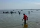 Plimbarea în apă de mare este benefică pentru sănătatea ta. Cum se practică?