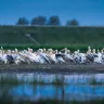 Transportul regulat de călători în Delta Dunării își schimbă programul. Ce trebuie să știe turiștii